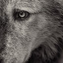 สมาชิกหมายเลข 1024989