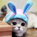 ฟ้าใสใยแมงมุม