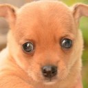 เด็กหญิงโลกสวย