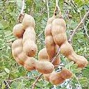 สมาชิกหมายเลข 1249207