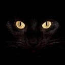 สมาชิกหมายเลข 1832741