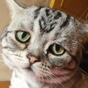 สมาชิกหมายเลข 2610328