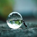 สมาชิกหมายเลข 2167962