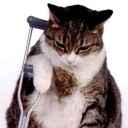 ฉีจื่อหลิง