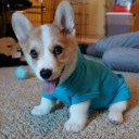 น้ำจิ้มลูกชิ้น