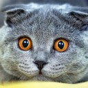 สมาชิกหมายเลข 1859400