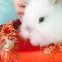 สมาชิกหมายเลข 2656891