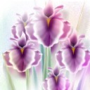 สมาชิกหมายเลข 2657060