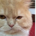 สมาชิกหมายเลข 3488743