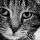 สมาชิกหมายเลข 3531680