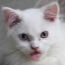 สมองสวย_จิตใจงาม