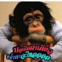 เจ้าชายสายลม