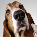 สมาชิกหมายเลข 1434088