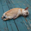 สมาชิกหมายเลข 770672