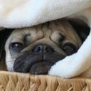 สมาชิกหมายเลข 3527360