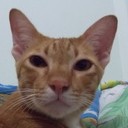 เส้นทางที่ยาวไกล