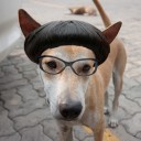 อ่อนหัดหมายเลขหนึ่ง