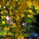 สมาชิกหมายเลข 1016922