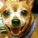 สมาชิกหมายเลข 1026112