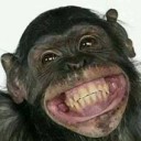 สมาชิกหมายเลข 1307184