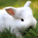 สมาชิกหมายเลข 1860568