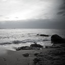 สมาชิกหมายเลข 2266999