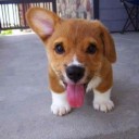 สมาชิกหมายเลข 2657484