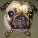 พองพองเกิร์ล