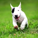 สมาชิกหมายเลข 1928431