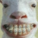 สมาชิกหมายเลข 2652397