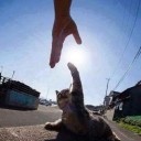 สมาชิกหมายเลข 2247947