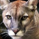 สมาชิกหมายเลข 1933840