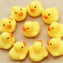 สมาชิกหมายเลข 2658207