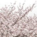 NAOKA