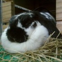 กระตุ่ยปุ๊กลุก