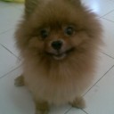 สมาชิกหมายเลข 831079