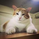 สมาชิกหมายเลข 2268136