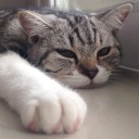 สมาชิกหมายเลข 2268174