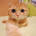 สมาชิกหมายเลข 1632813