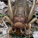 สมาชิกหมายเลข 3061023