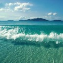 สมาชิกหมายเลข 3534618