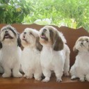 จริงใจ.......สบายจริง