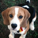 สมาชิกหมายเลข 1776307