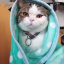 สมาชิกหมายเลข 1861838