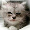 สมาชิกหมายเลข 2385803