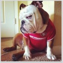 สมาชิกหมายเลข 2659114