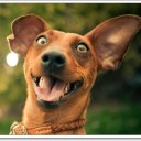 สมาชิกหมายเลข 2175015