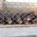 สมาชิกหมายเลข 3037220