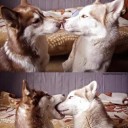 สมาชิกหมายเลข 3072423