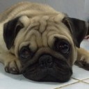 สมาชิกหมายเลข 1863219